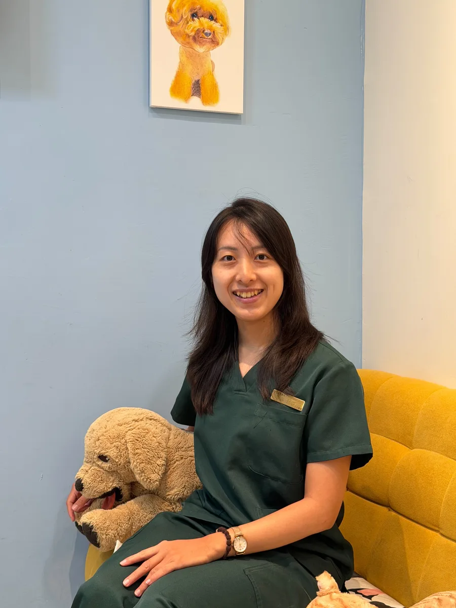 專心動物醫院團隊成員抱著犬隻教學模型坐在沙發上