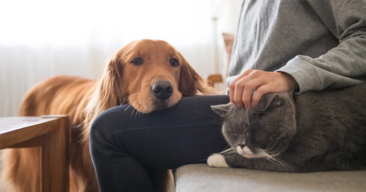 為什麼下一代動物醫療需要亞洲動物生理資料庫？的原始文章照片
